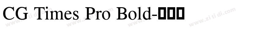 CG Times Pro Bold字体转换